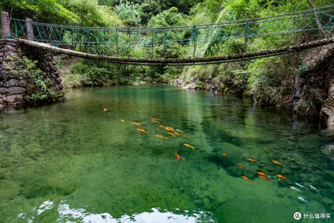 戏水纳凉、抓鱼捉虾,夏天玩水才是正经事啊!