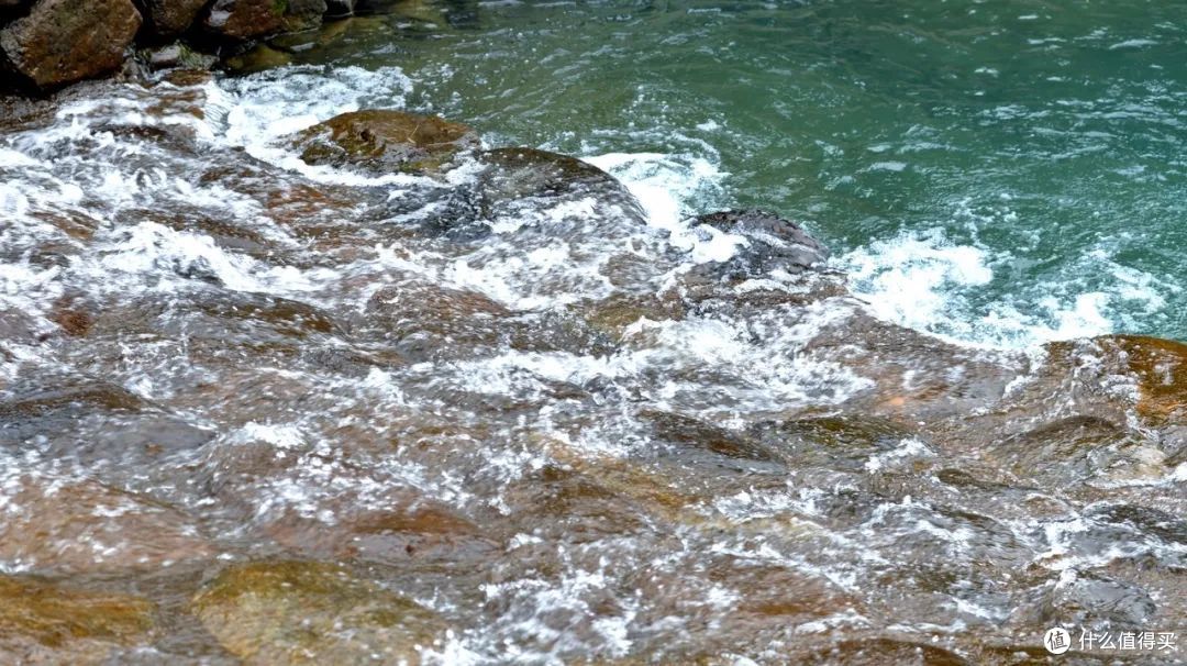 戏水纳凉、抓鱼捉虾,夏天玩水才是正经事啊!