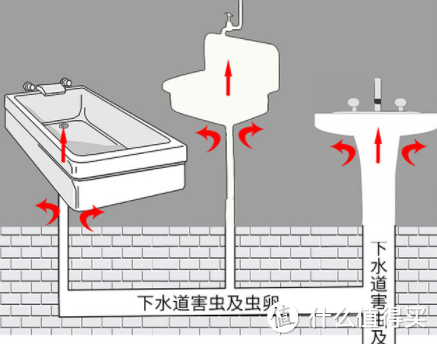 夏天还被小飞虫困扰？一篇文章帮你根治它！