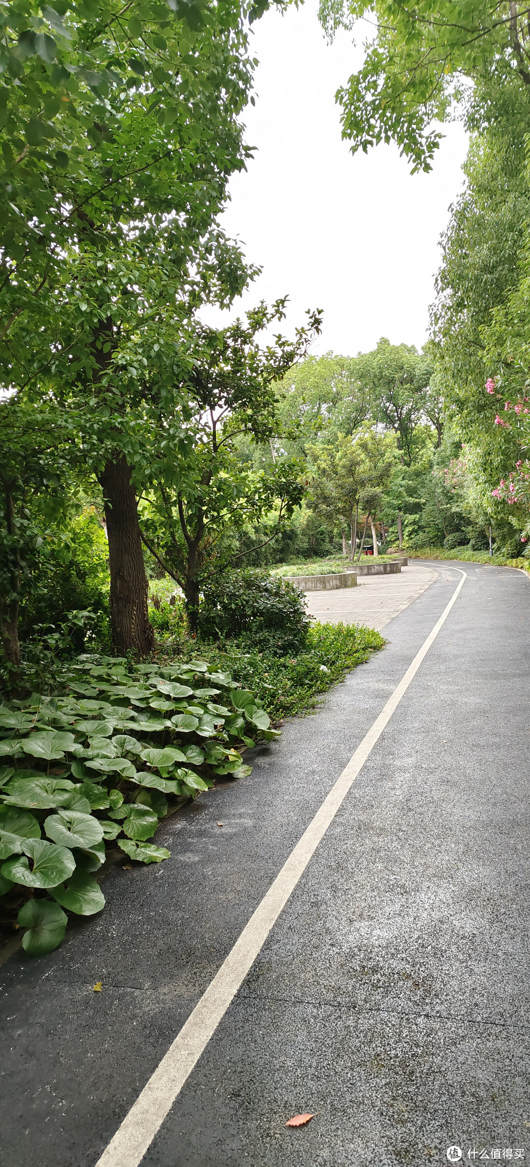 林荫小道骑行木桥流水别墅/隐藏路口尽头的骑行公园/外环高速边上的一个隐秘的角落/闵行体育公园边上