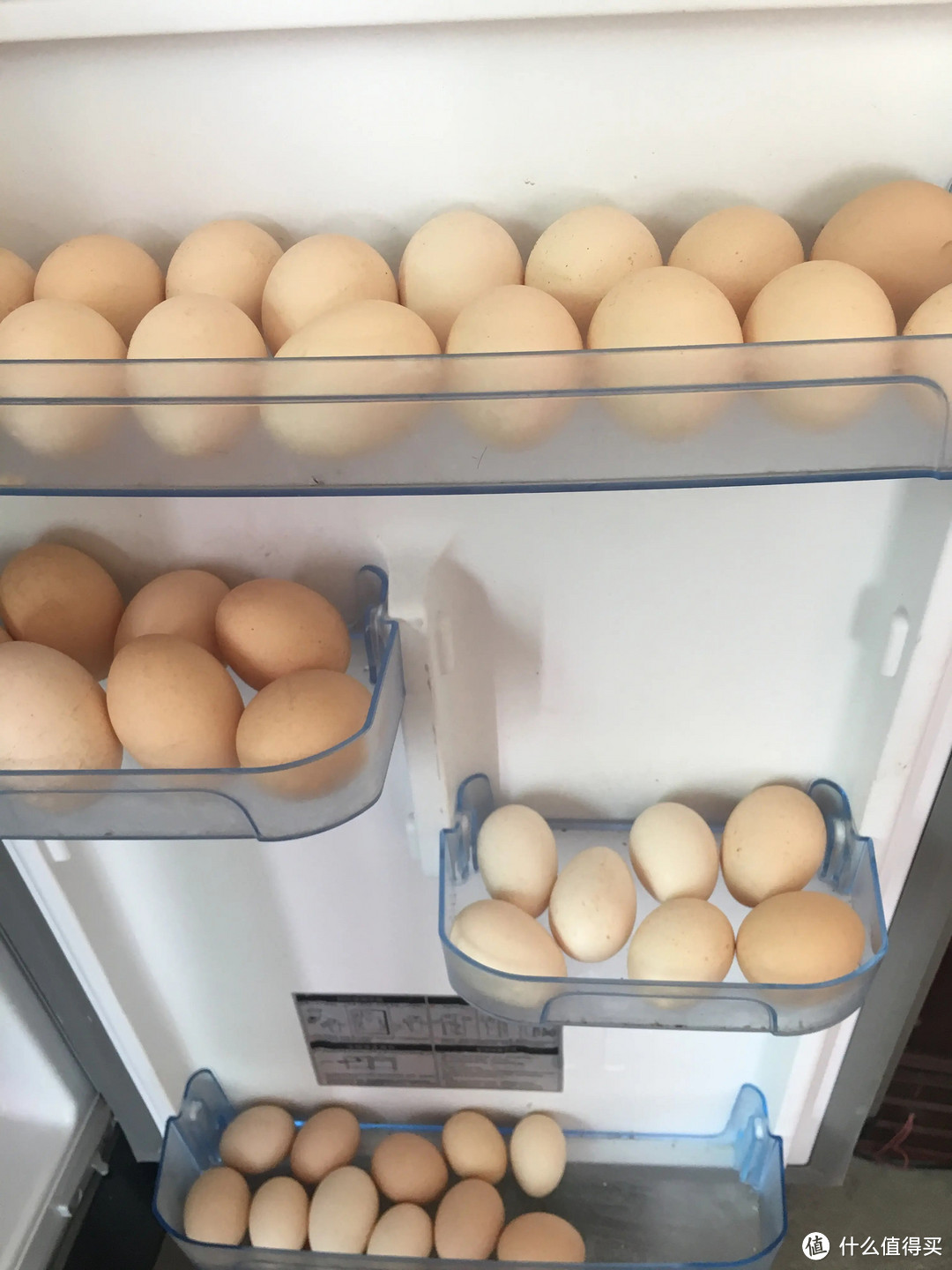 鸡蛋能不能直接放冰箱？好多人都做错了，今天我来告诉你正确答案