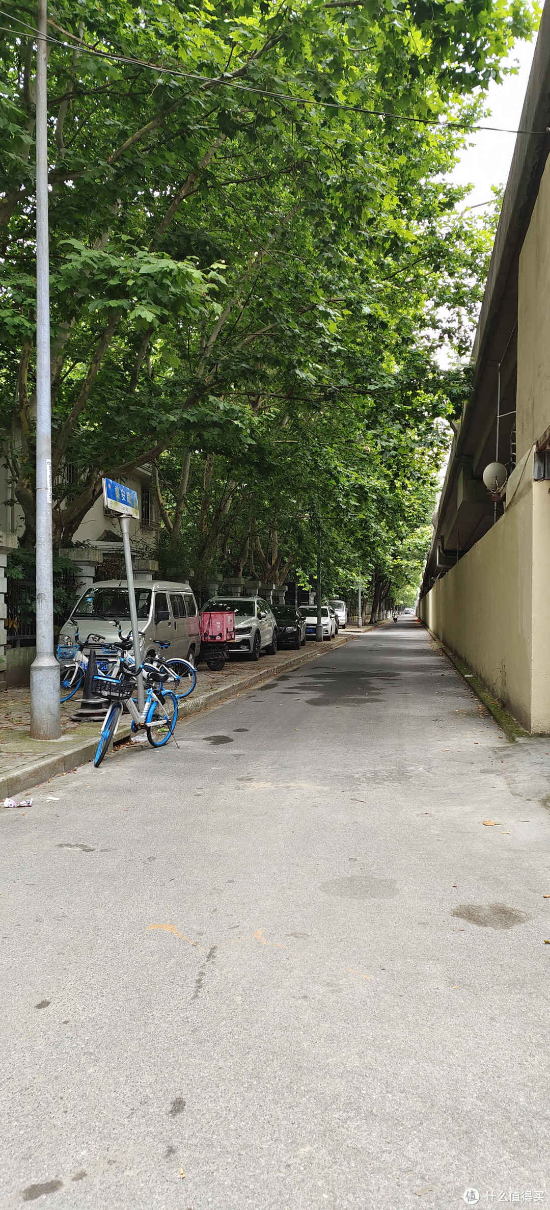 林荫小道骑行木桥流水别墅/隐藏路口尽头的骑行公园/外环高速边上的一个隐秘的角落/闵行体育公园边上