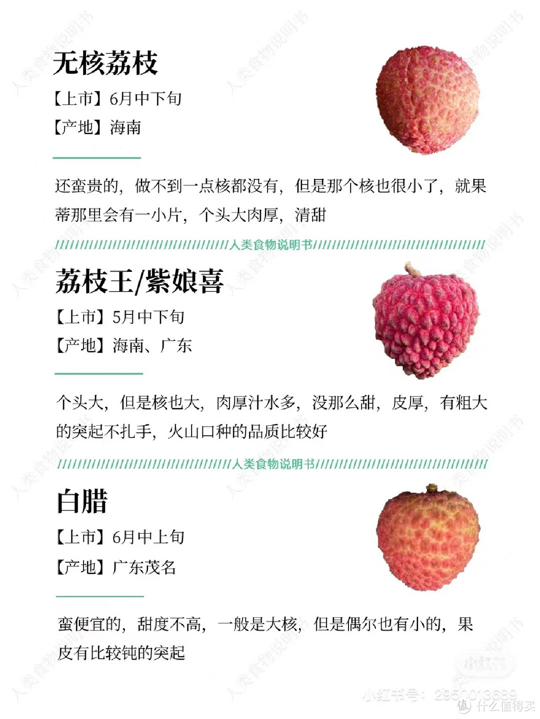 日啖荔枝三百颗,虽好且不可多食