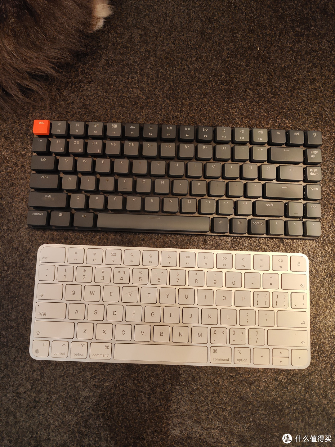 大小就比magic keyboard大一点点，但是这个键程和按键大小，手感上绝对比mkb好非常非常多。mkb多机器切换实在是痛苦！！！！