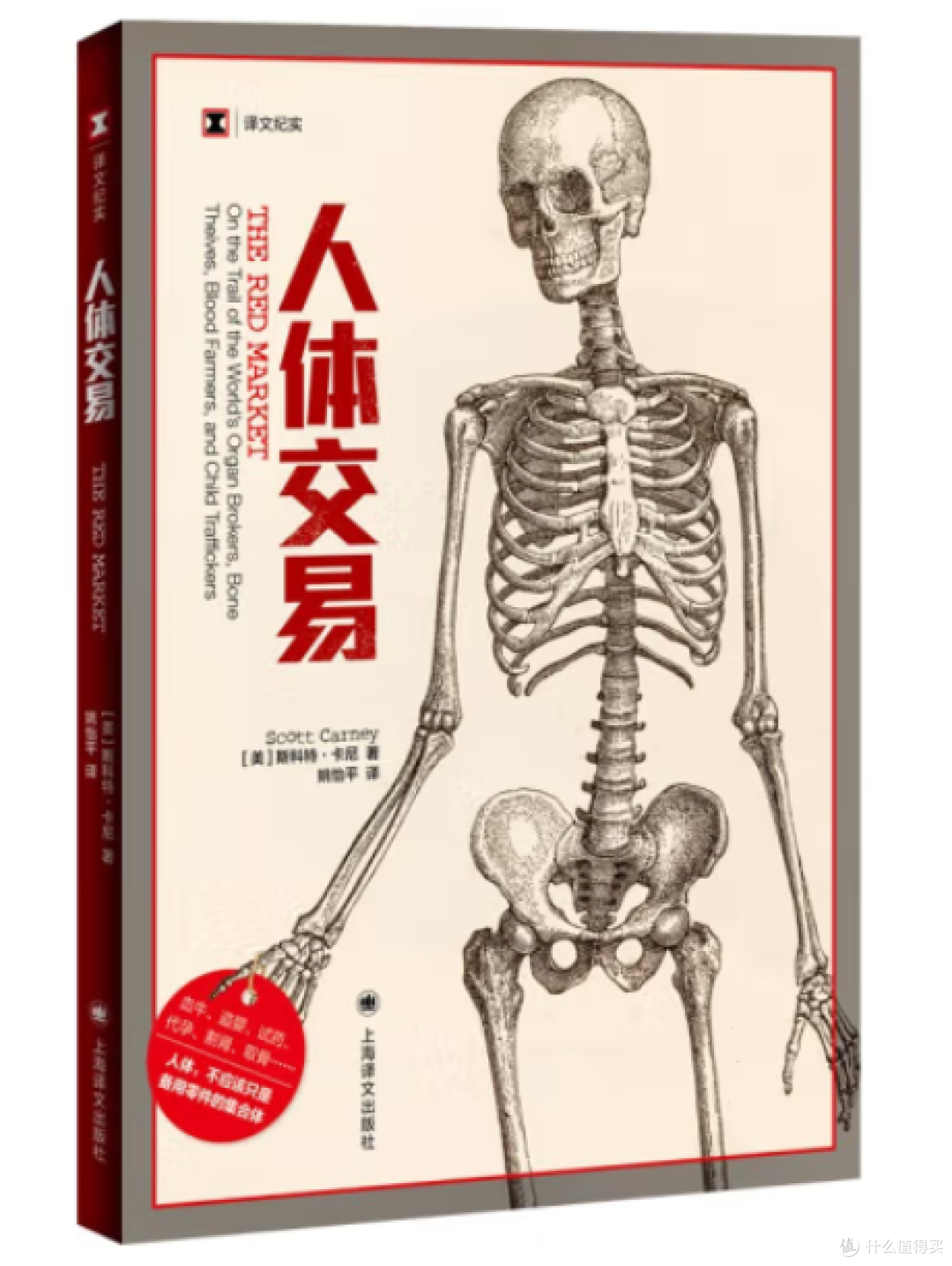 写给星期五早上不听海的人