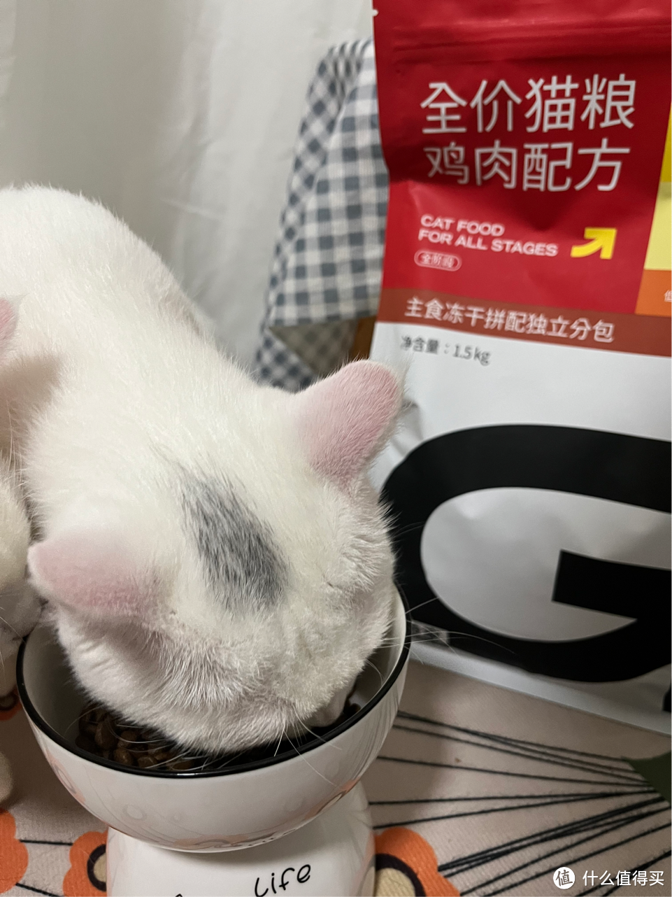 易过敏的猫咪一定要选对猫粮