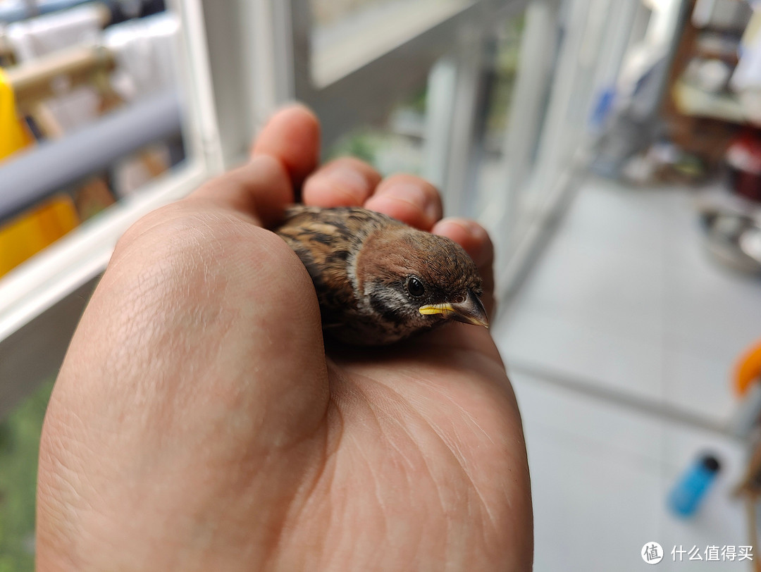 又到了填报志愿的季节，国内5大最美大学校园排名——最美风景照拍起来