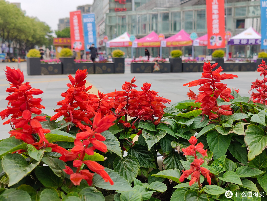 又到了填报志愿的季节，国内5大最美大学校园排名——最美风景照拍起来