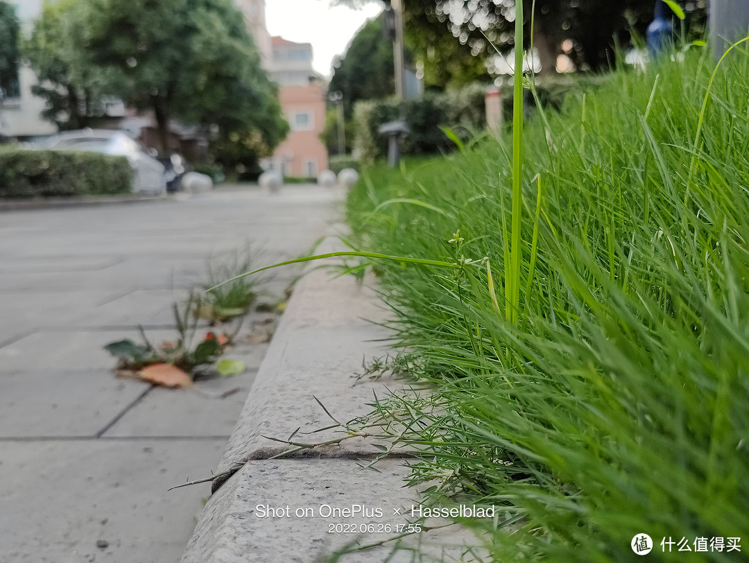 又到了填报志愿的季节，国内5大最美大学校园排名——最美风景照拍起来