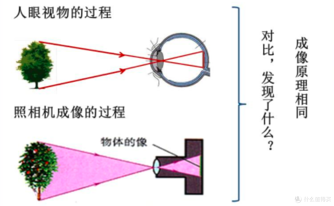 2022年热门家用投影仪，有哪些性价比高的产品推荐？投影仪哪个牌子好：联想、极米、腾讯、大眼橙
