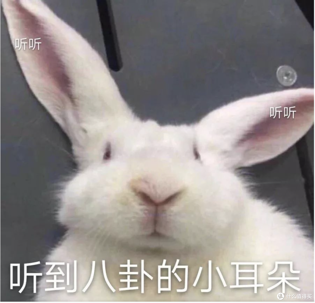 夏日超强待机底妆大揭㊙️——「底妆篇」