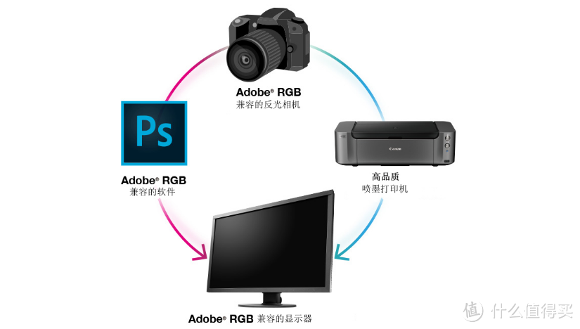 你是否真的需要专业摄影显示器？SW240使用一个月的感受