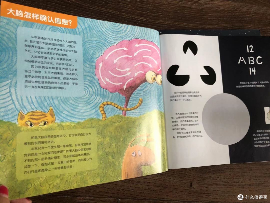 图解138亿年的万物演化史,在生活化的场景中带领孩子秒懂科学
