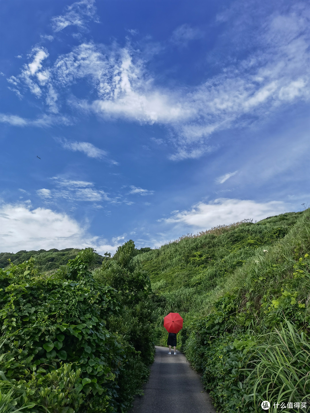 夏季户外出行干货篇之浙东海岛，亚洲第一海钓渔场——渔山岛归来说装备