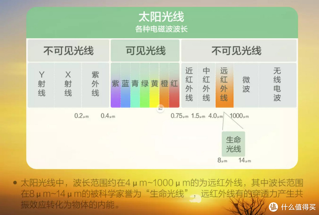 物有所值还是智商税？苏泊尔远红外电饭煲真实测评