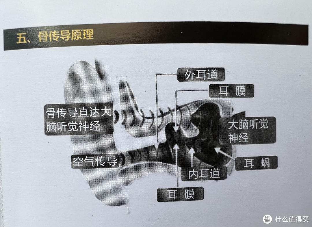 性能再升级，释放音质听觉盛宴：南卡NANK Runner Pro3骨传导无线蓝牙实用测评