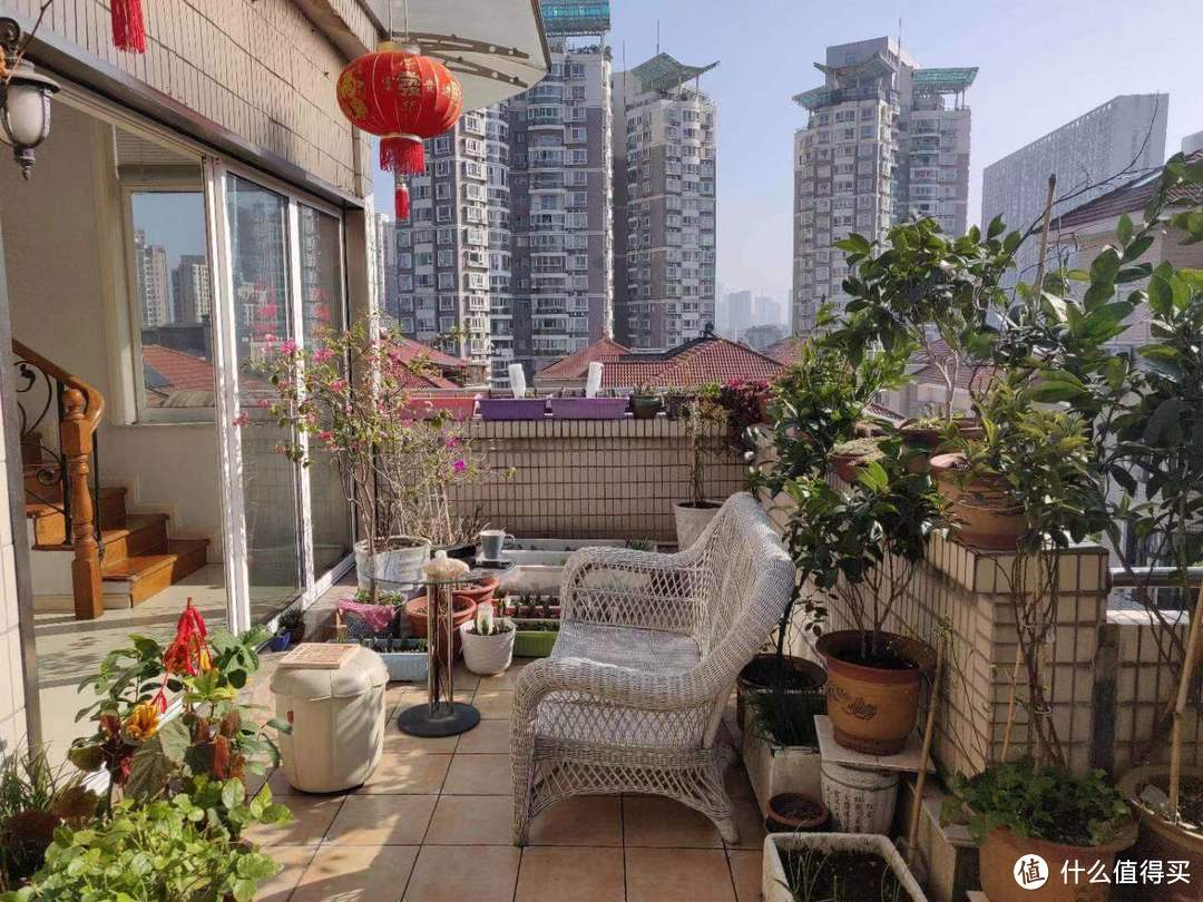 三天不打,上房揭瓦?