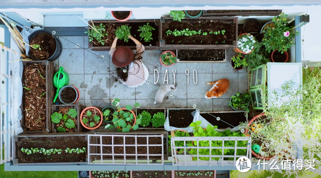 二胎宝妈带孩子一起改造8㎡阳台，种满20多种蔬菜，让人羡慕