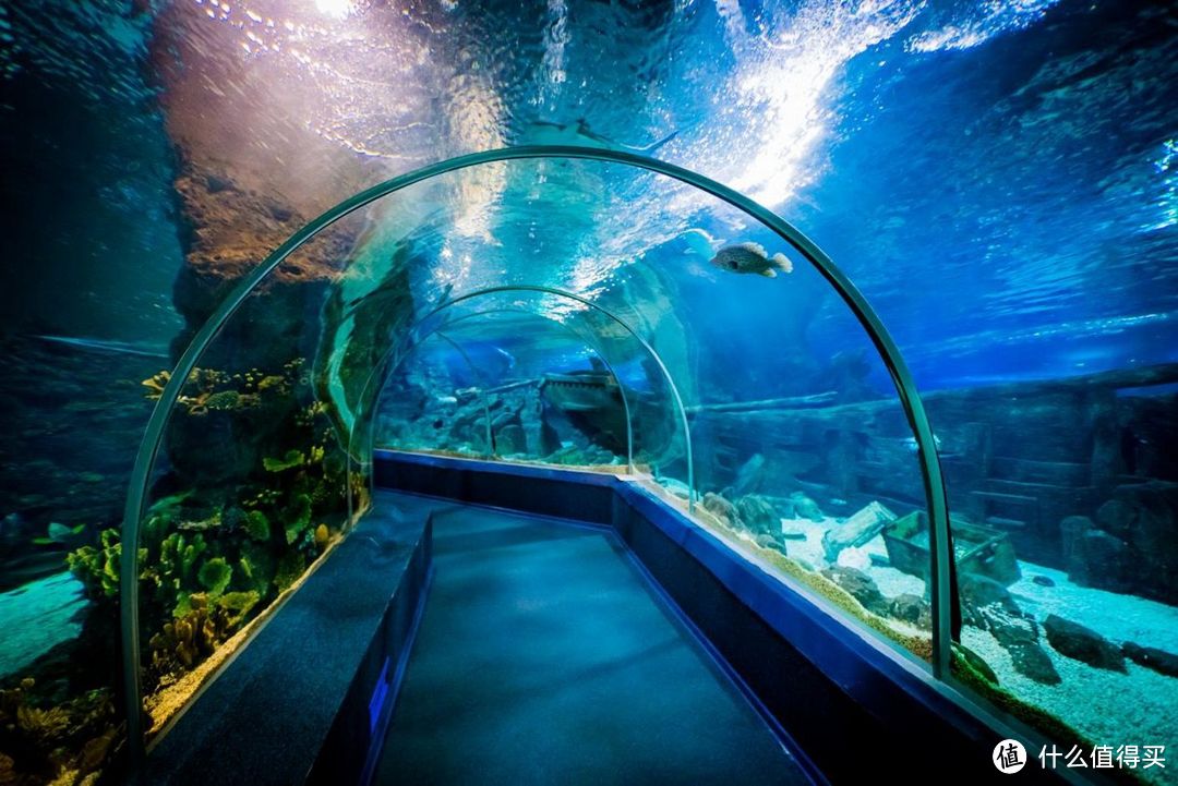 青岛海底隧道能看到海图片
