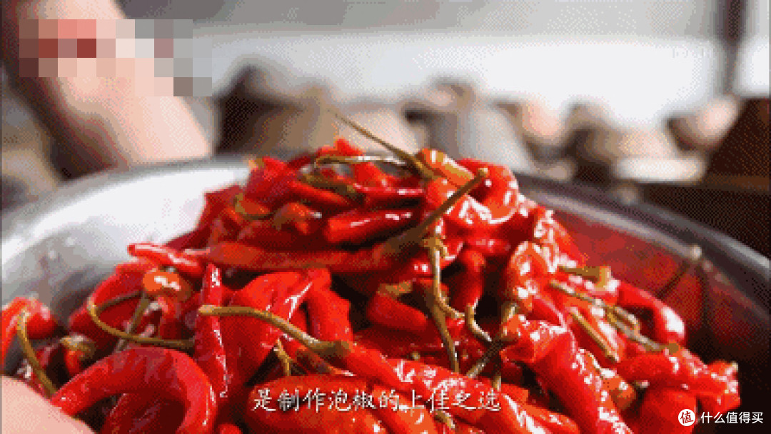 食物碎片:谁在悄悄改变你的口味偏好?一篇文章给你饭桌上带来新的谈资!