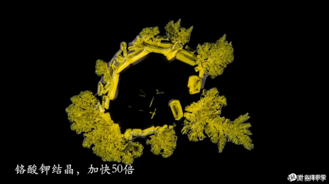暑假来了,9部豆瓣高峰记录片给孩子看,提高数理化认知