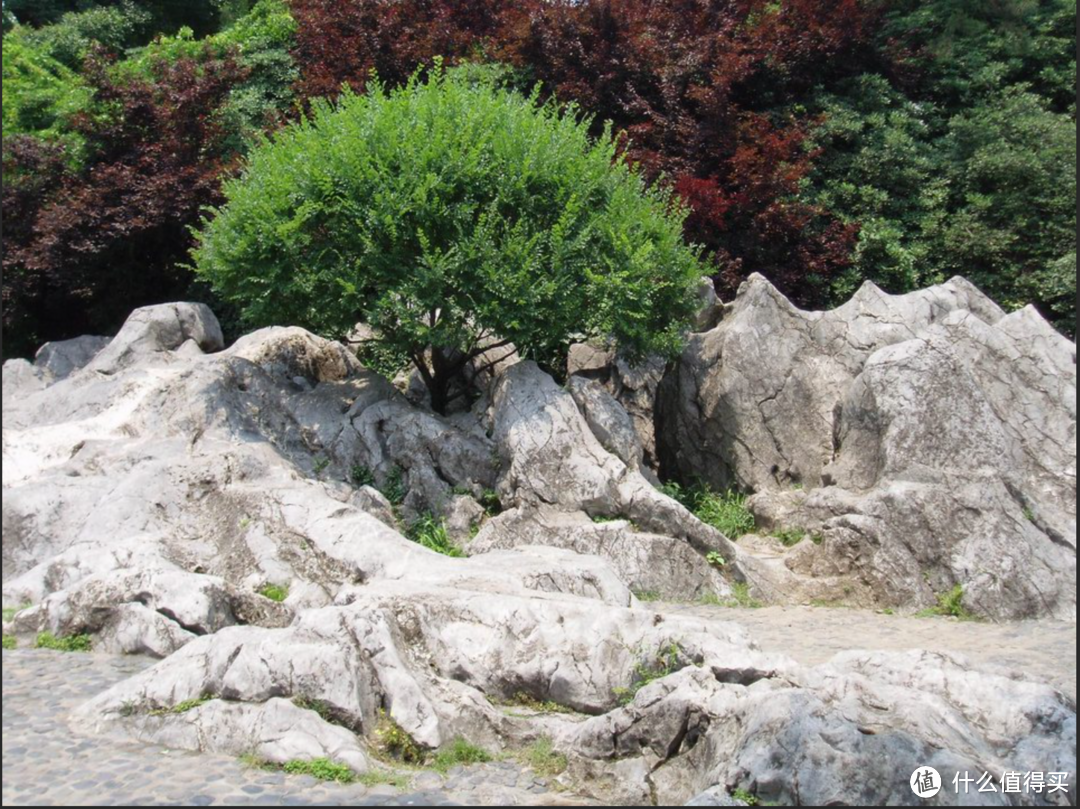 上半年杭州遛娃记录——这些景点好玩，而这些，好玩又好吃，西湖周边篇