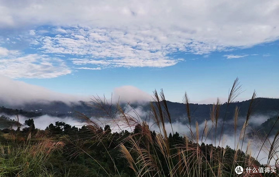 成都露营指南——龙泉山荒野乌托邦营地篇