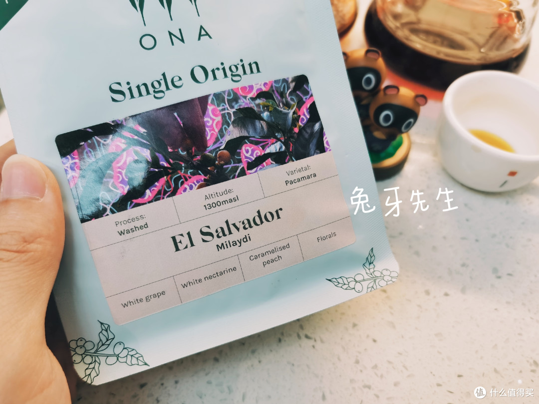 今日份咖啡：ONA水洗萨尔瓦多