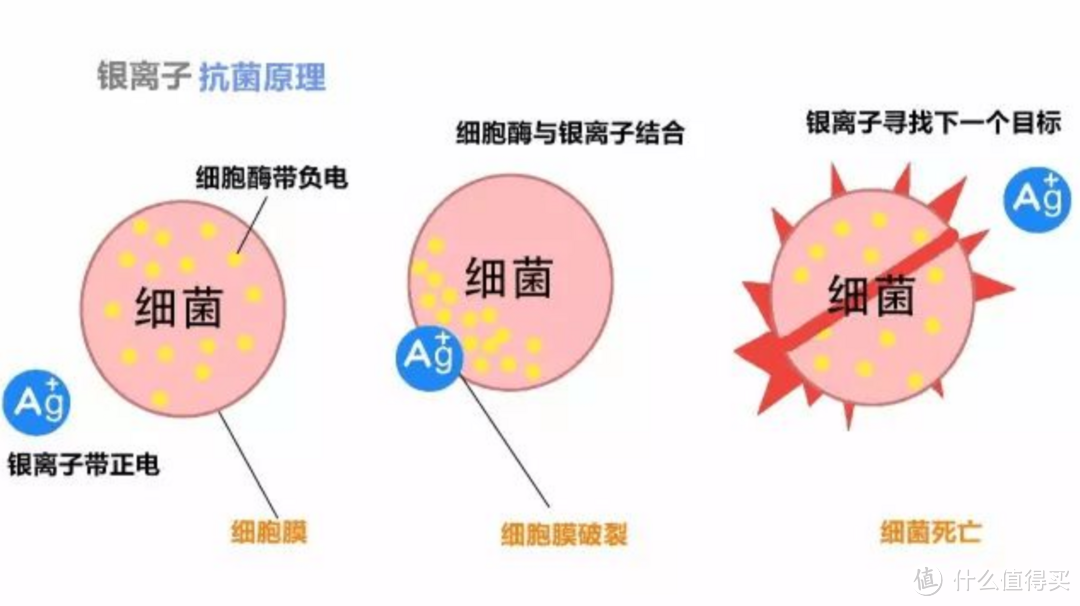 2022年洗碗机选购攻略，30余款热门洗碗机测评推荐，西门子、美的、慧曼、松下等对比与推荐，洗碗机选购看着一篇就足矣。