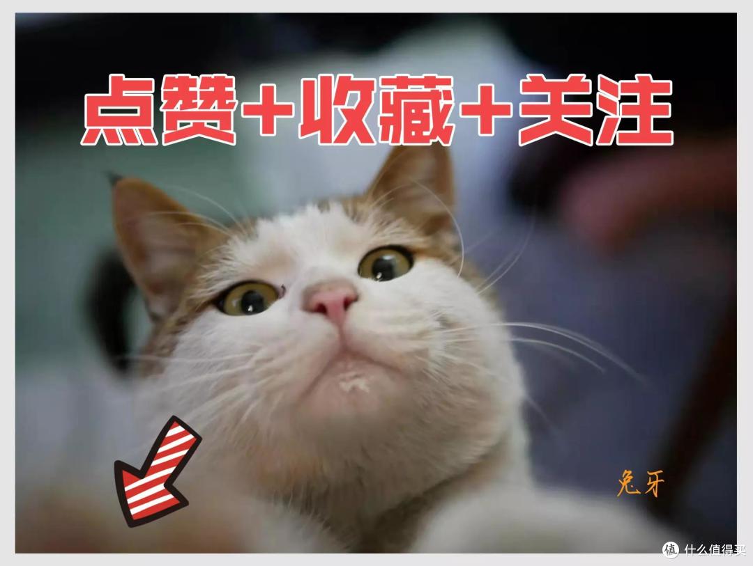可玩性和实用性兼具,轴体可拔插的新作,杜伽K610W无线三模机械键盘新品体验