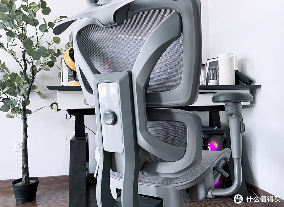 2000多块买的人体工学椅，舒适透气全身支撑，巴适得很~