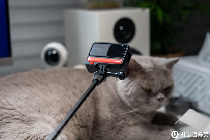 gopro还是insta360,运动相机应该怎么选?