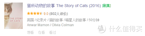 一共三集,这部正宗的猫片太可爱了