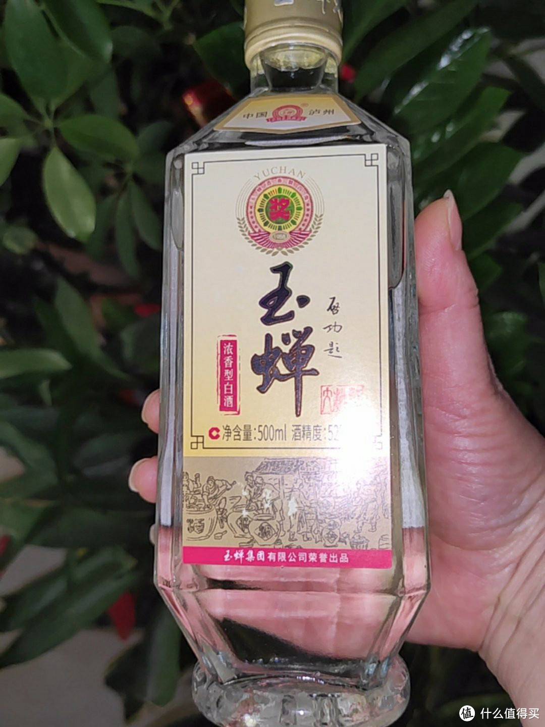 用途不同，选酒有差异！我用这5款白酒当例子，多囤几箱都不亏