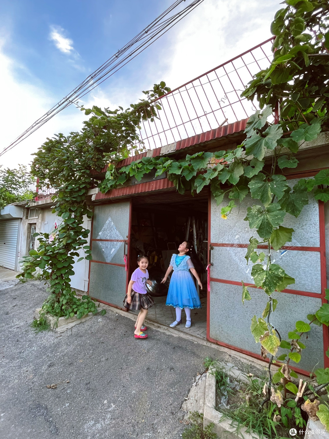 乡村烧烤纳凉夜-----夏天和烧烤更配哟！