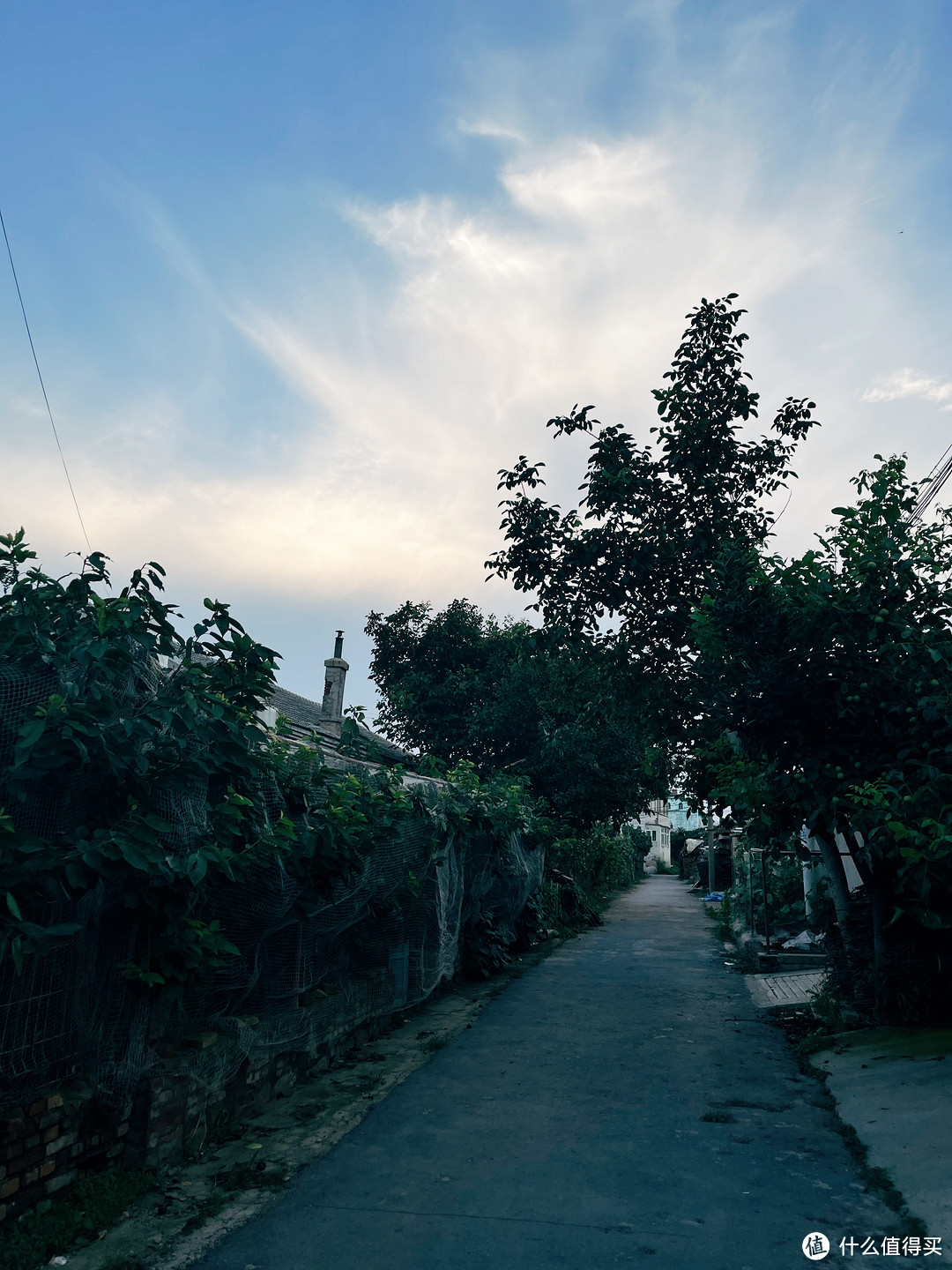 乡村烧烤纳凉夜-----夏天和烧烤更配哟！