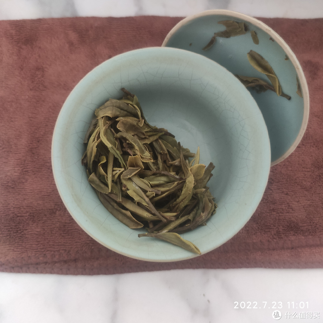 福安白茶之一级四川茶青白牡丹观赏之多图杀猫