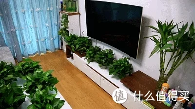 关于甲醛,这些谣言不可信!分享我的6个低成本除醛经验