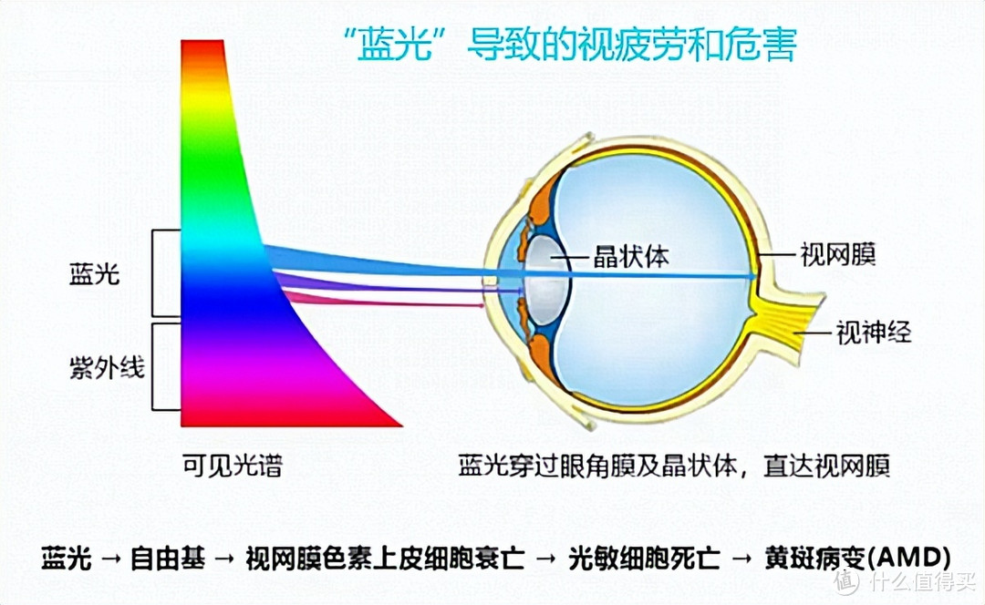 要成绩更要护眼！哪款学习机才是护眼最优选？