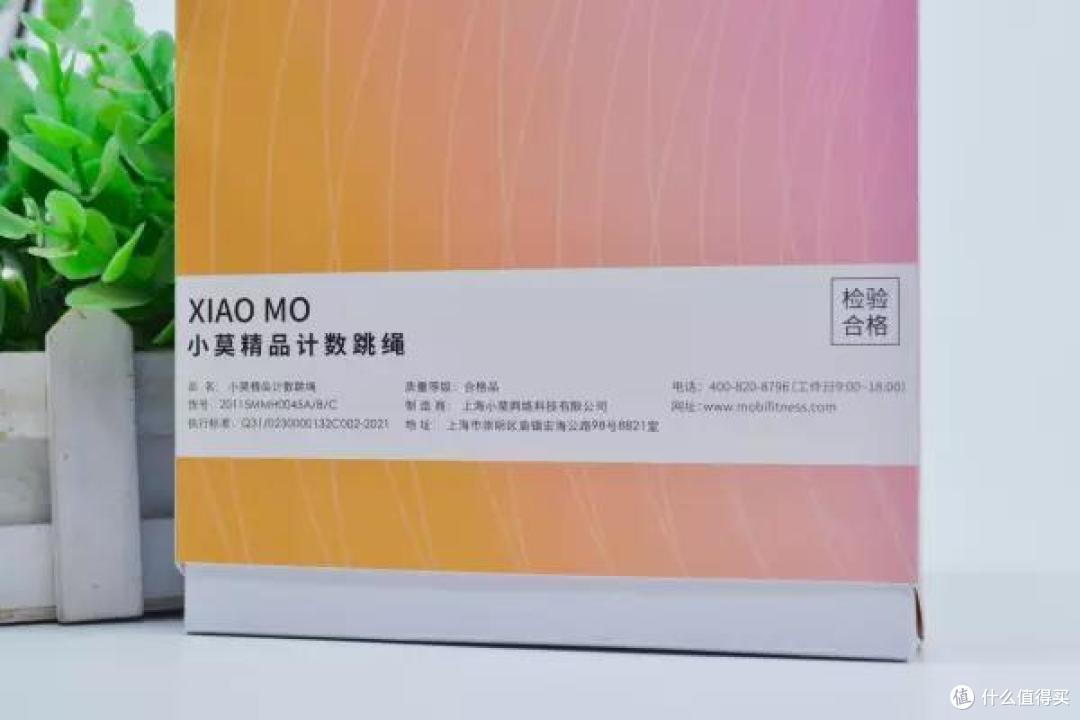 “小莫”陪你跳绳代你计数 夏天害怕不瘦？