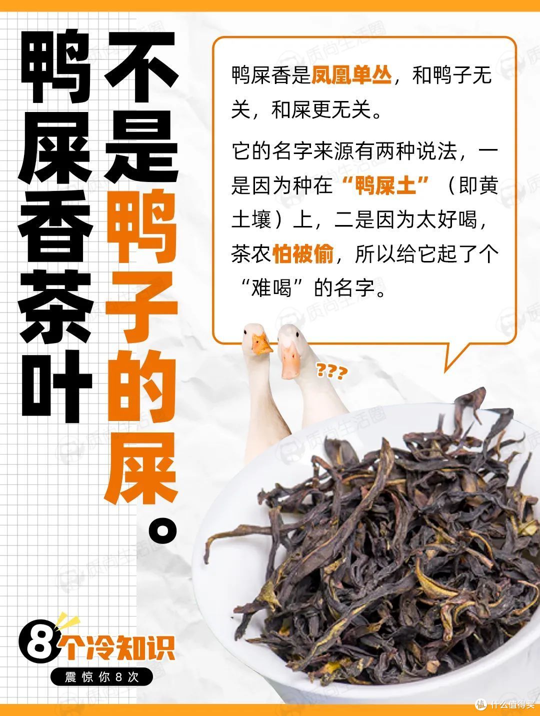 鸭屎香茶叶跟鸭屎有什么关系