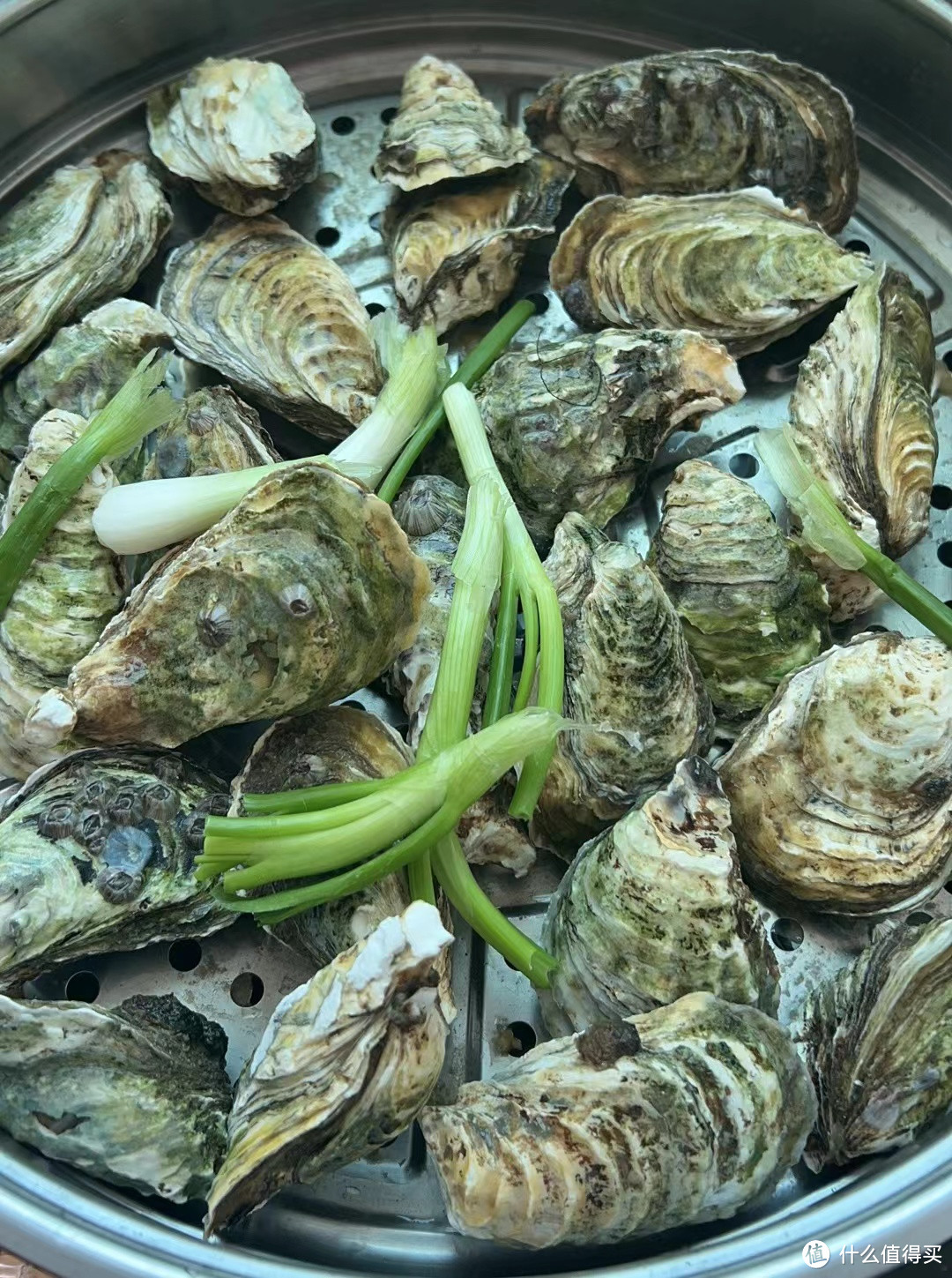 记录一人饮食，两道简易海鲜食谱和大家分享，清炒海带苗和清蒸生蚝