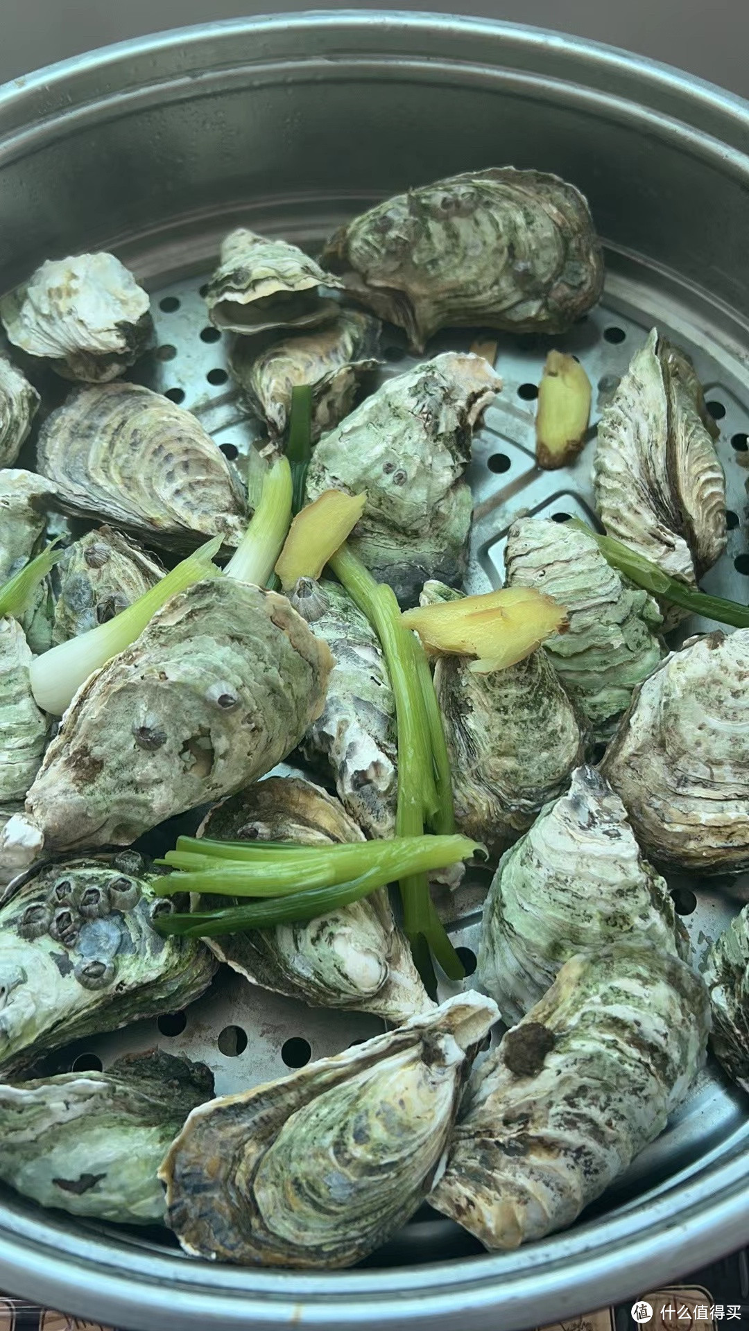 记录一人饮食，两道简易海鲜食谱和大家分享，清炒海带苗和清蒸生蚝