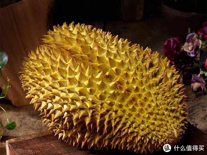 榴莲界的4大贵族猫山王苏丹王金枕托曼尼谁更值得买