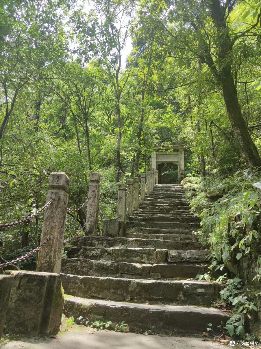 一路林荫，不过路上有时候有蛇