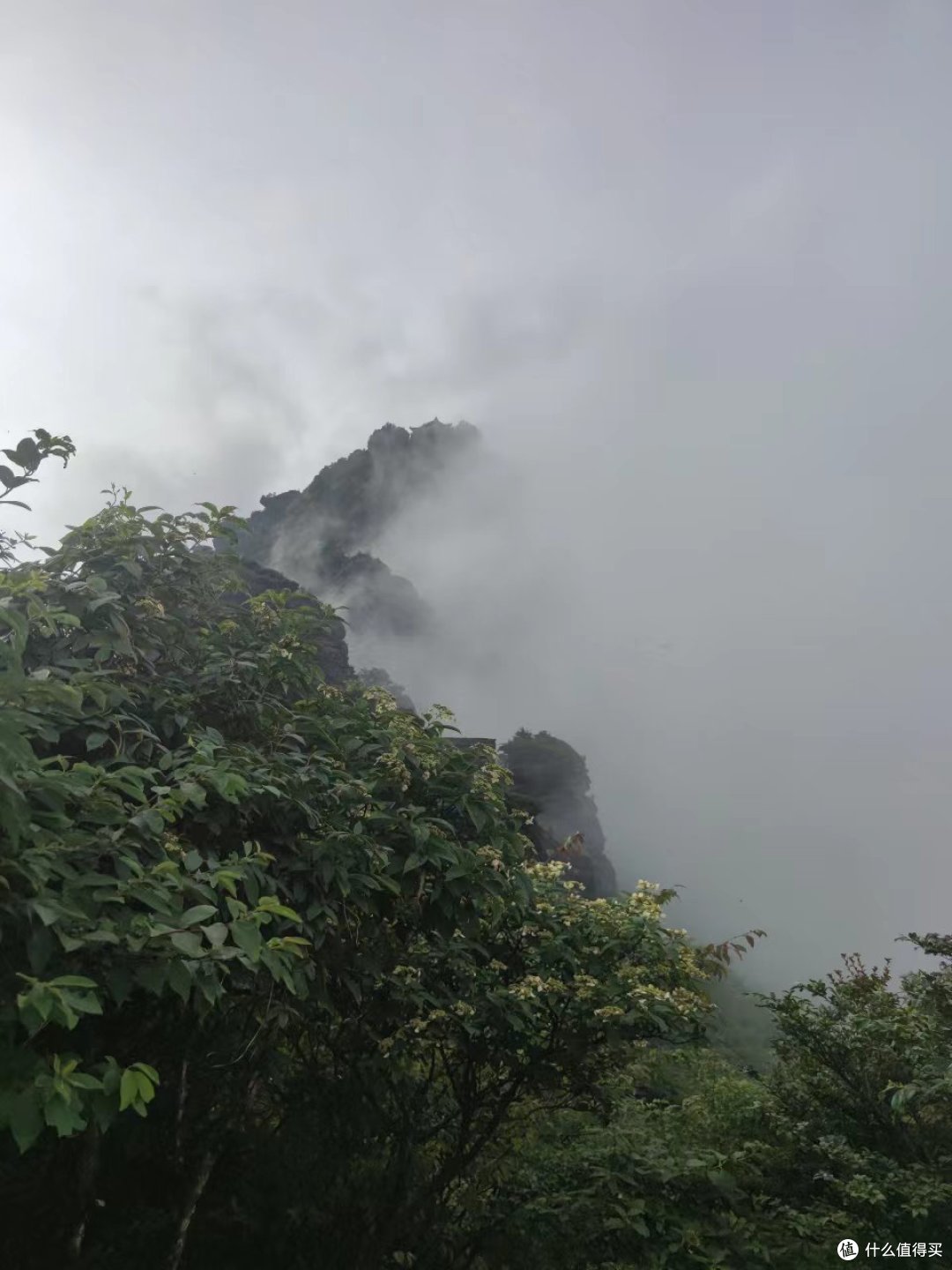 云雾中的老金顶