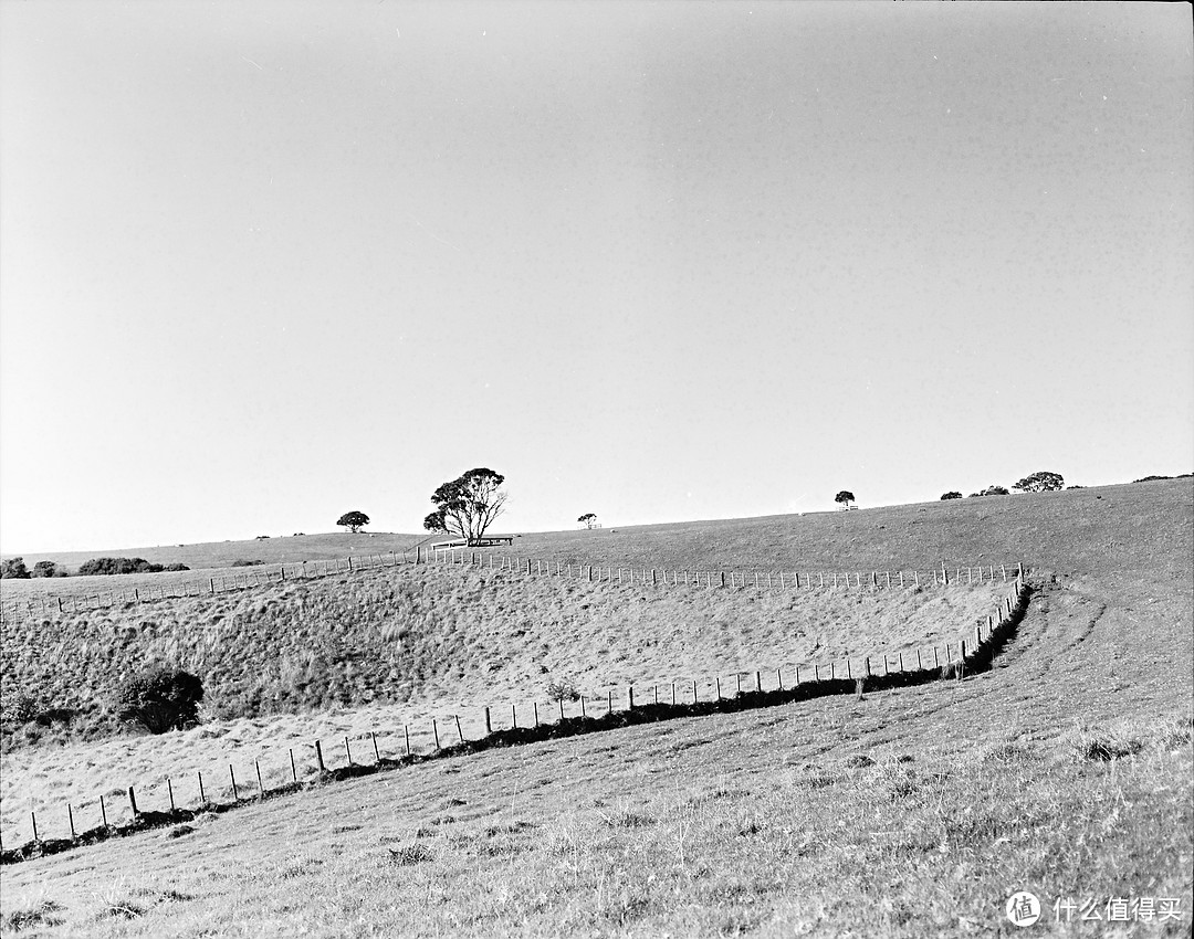 难道是ILFORD ACROS 100 II？