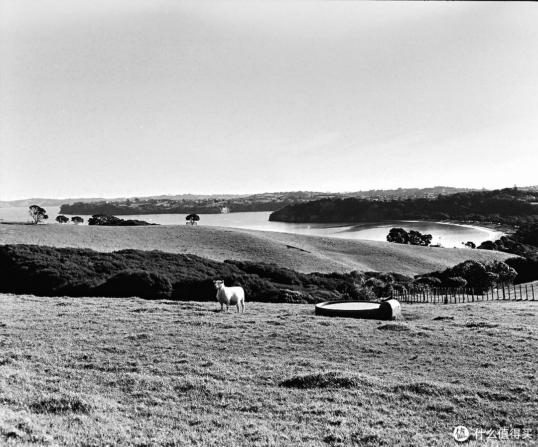 难道是ILFORD ACROS 100 II？