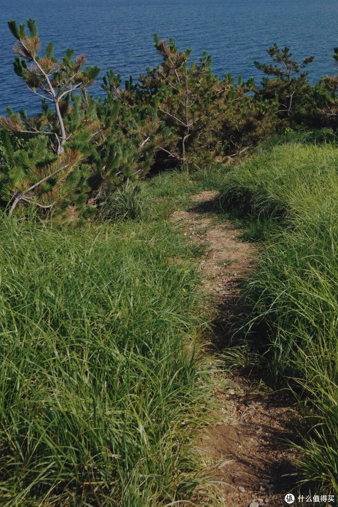 在这座“海景菩萨”城市，想赖着不走了！