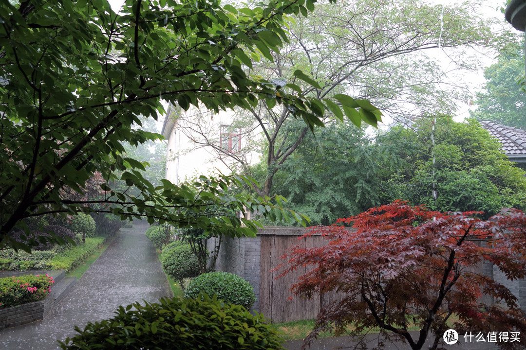 大概是最便宜的罗莱夏朵~南京颐和公馆入住体验